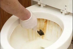17 Cách vệ sinh bồn cầu bị ố vàng hiệu quả, an toàn sức khỏe