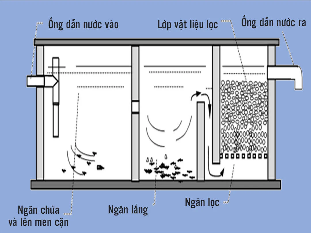 Cấu tạo vách ngăn