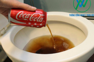 Hướng dẫn thông bồn cầu bằng coca cola đơn giản, hiệu quả
