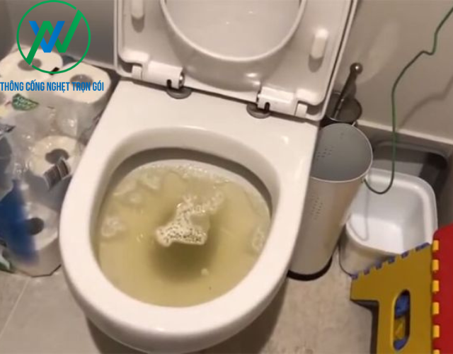 Nguyên nhân dẫn đến hầm cầu bị đầy nước