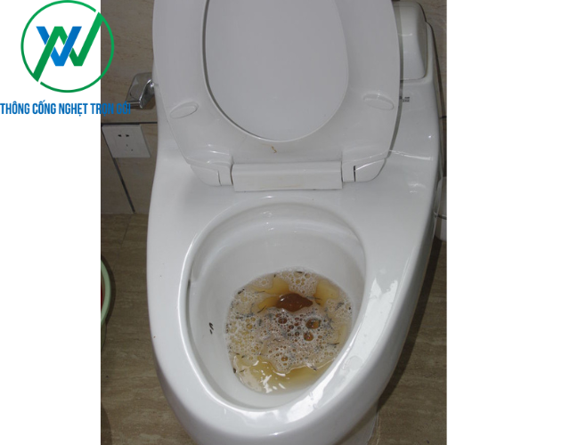 Một số dấu hiệu hầm cầu bị đầy nước