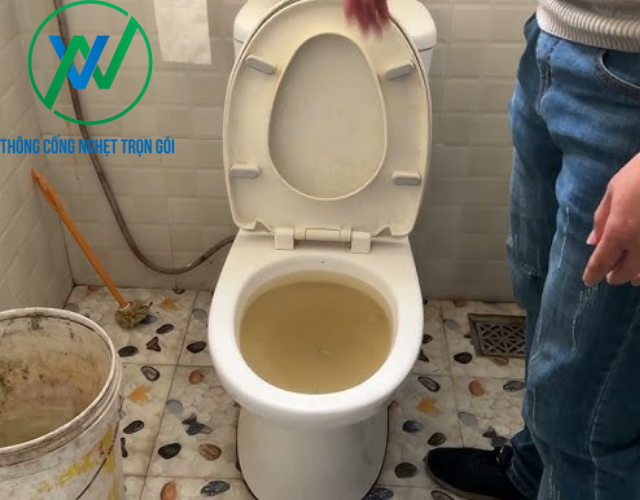 Khi nào bạn nên dùng cách thông bồn cầu bằng pittong