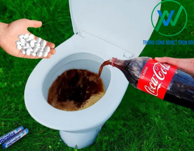 Đổ Coca Cola vào bồn cầu