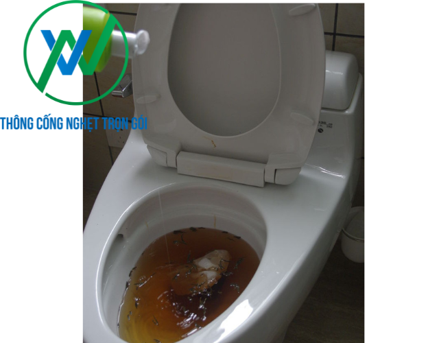 Nhược điểm của cách thông bồn cầu bằng máy hút bụi