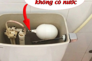 Bồn cầu không có nước – Nguyên nhân và cách khắc phục tại nhà